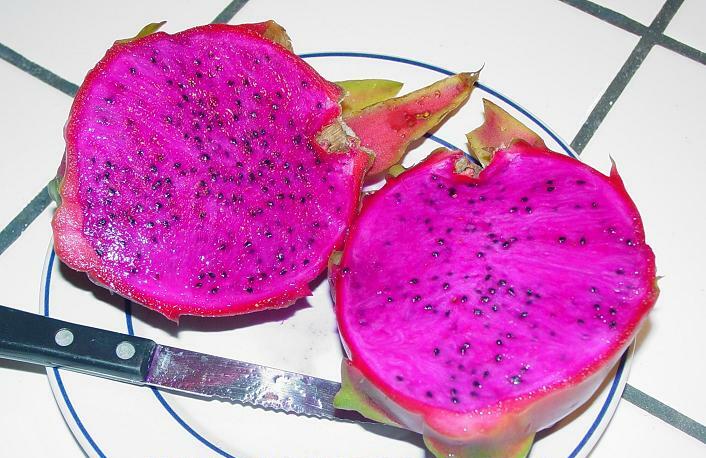 Exotic Pink Dragon Fruit - Freshly harvested from tropical orchards - Individually foam-net wrapped for air freight