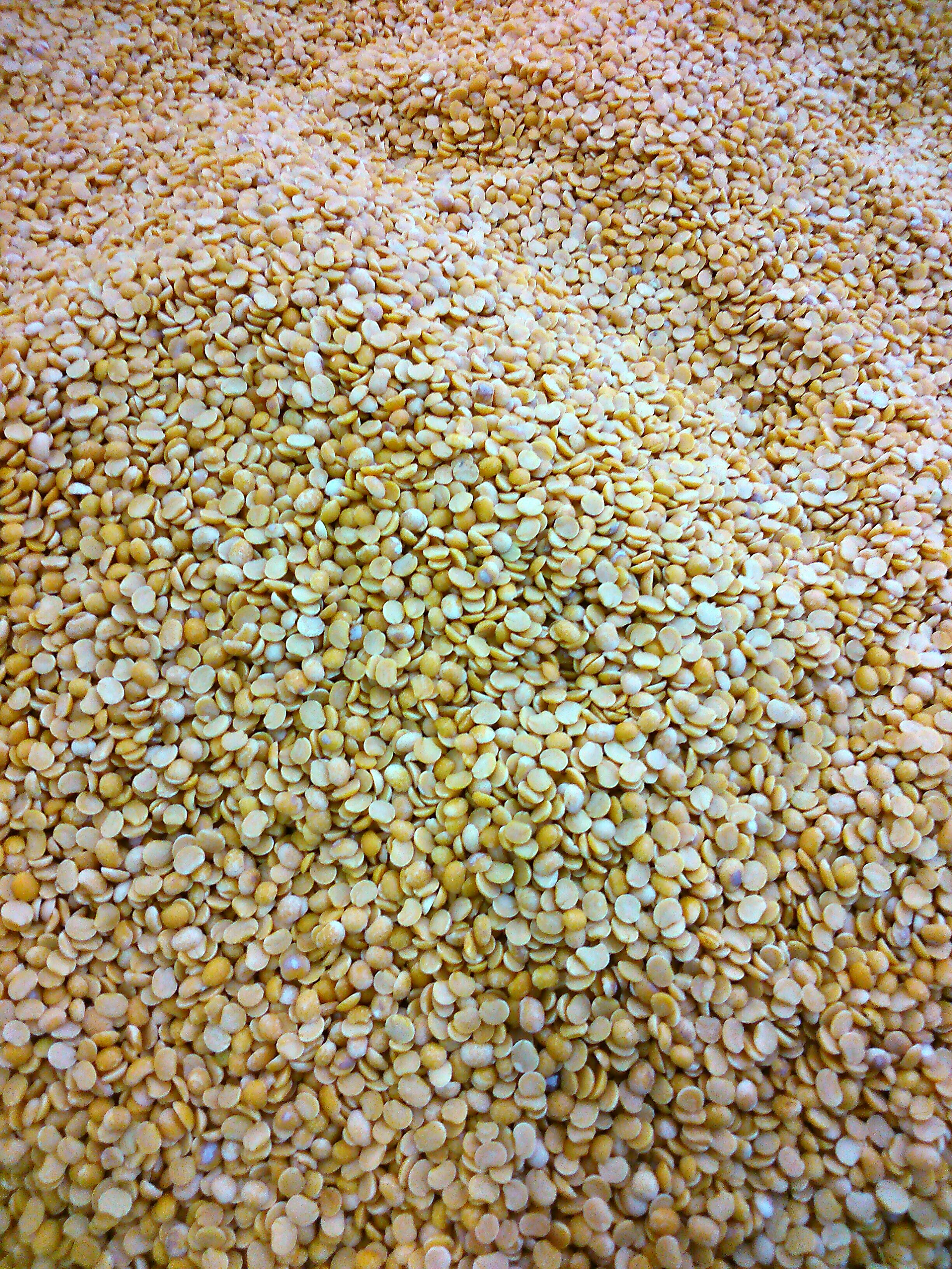 Unpolished Toor Dal Pigeon Pea - High protein split yellow pea - Certified organic farm-sourced crop
